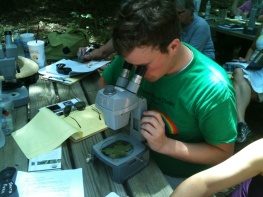 Field-Based Science at Greers Ferry Lake